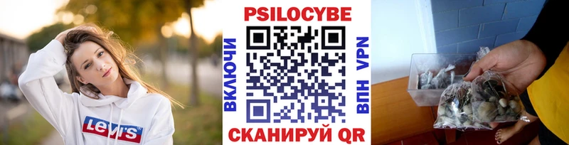 Псилоцибиновые грибы прущие грибы  Нея 